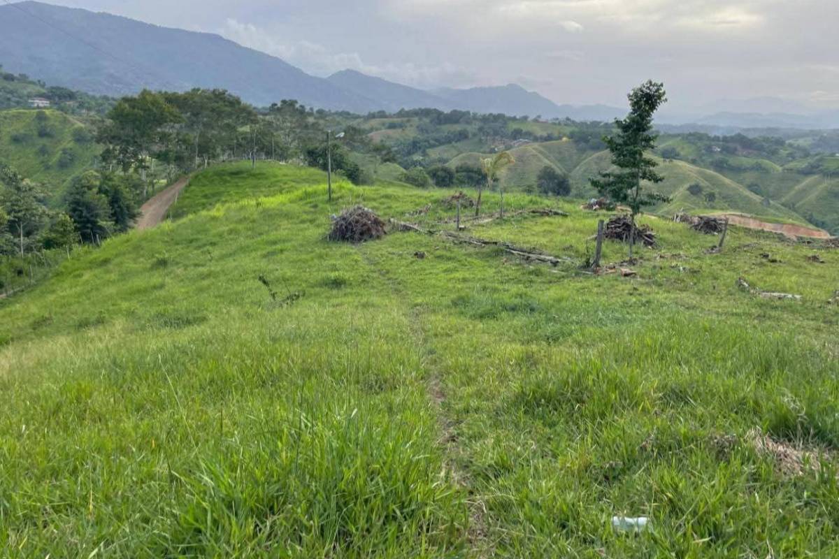TERRENOS EN VENTA EN LAS MONTAÑAS DE LA VEGA