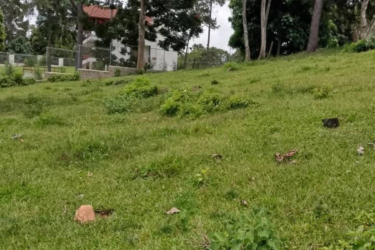 TERRENO EN VENTA EN JARABACOA, BUENA VISTA